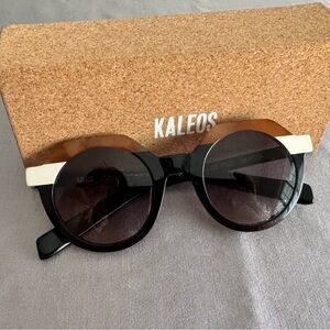 Black and Brown Sunglasses